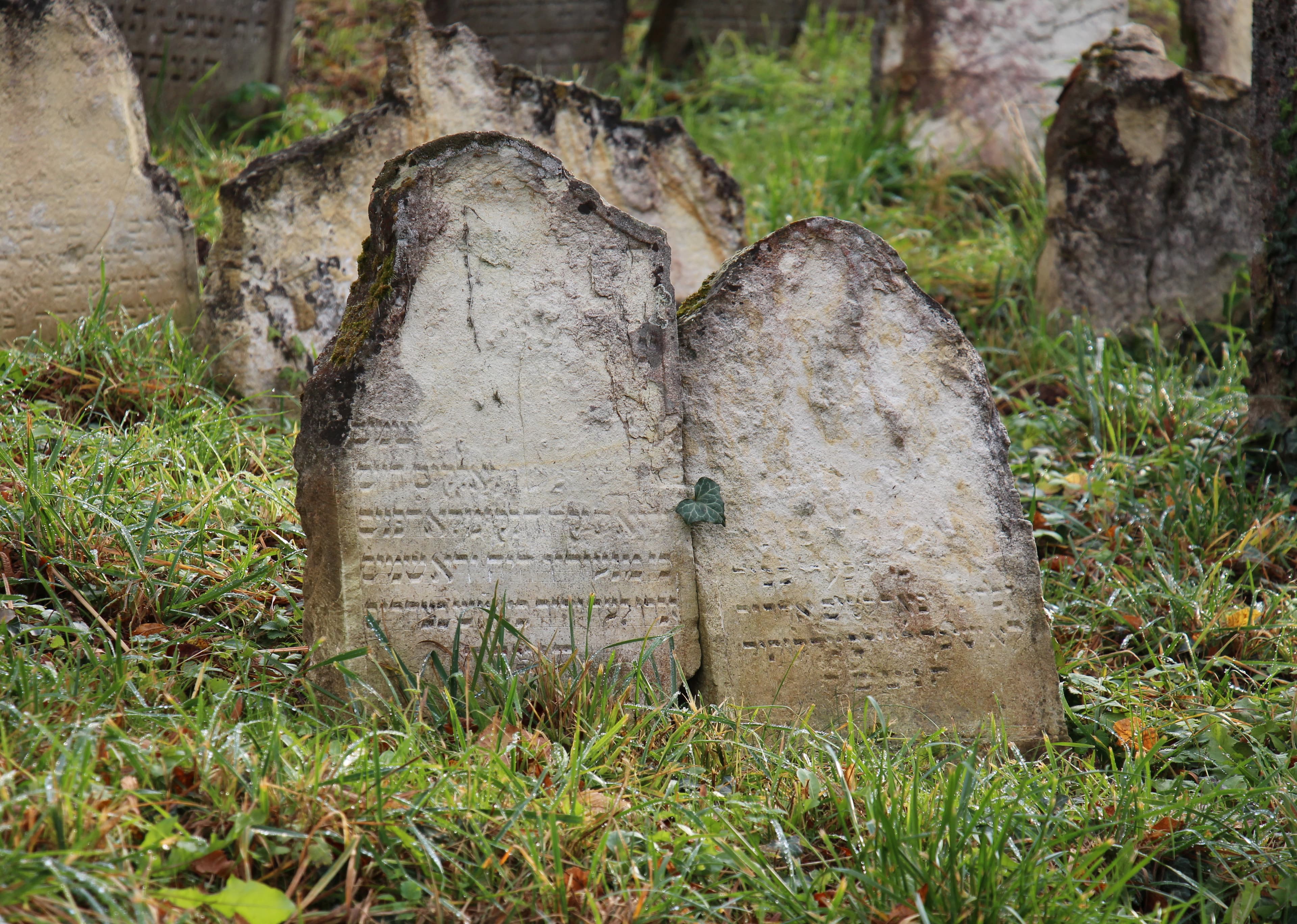 Zaujaly mě tyto dva náhrobky, které jsou spojeny listem ve tvaru srdce – jako by ti, kteří zde odpočívají, byli spojeni srdcem i po smrti